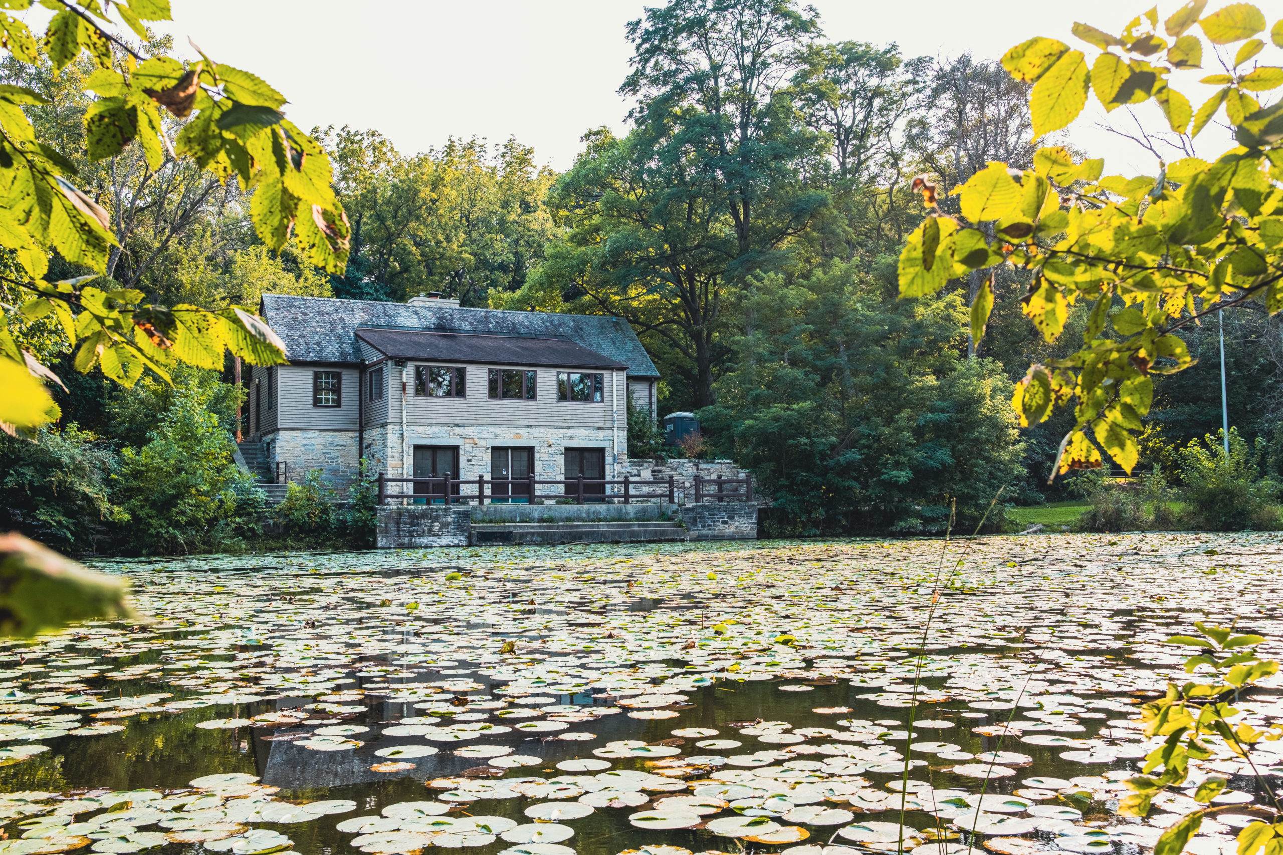 A lilypad covered pond with a building in the background and surrounded by trees at Jacobus Park in Wauwatosa, WI